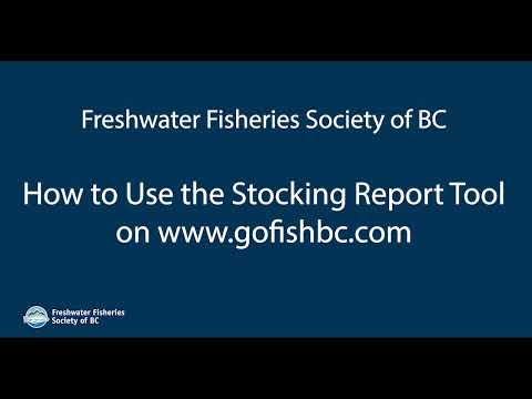 How To Use The Stocking Report Tool
