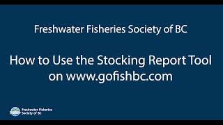 How to Use the Stocking Report Tool