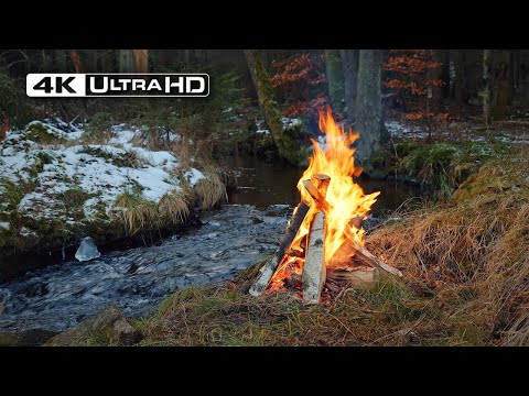 4K 📺 Campfire by the River 🔥 Forest Ambiance and Soothing Sounds
