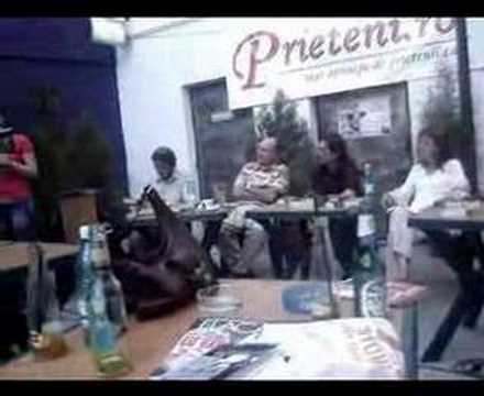 Cristina Vlasin - depresie unu - twice