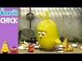 [Official] Chick - Mini Series from Animation LARVA