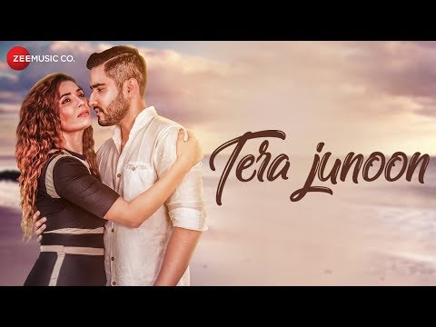 Amir Sheakh Tera Junoon / Amir Sheakh
