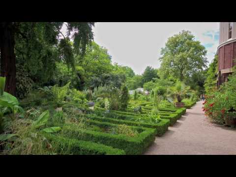 de hortus Amsterdam by Miles Fish