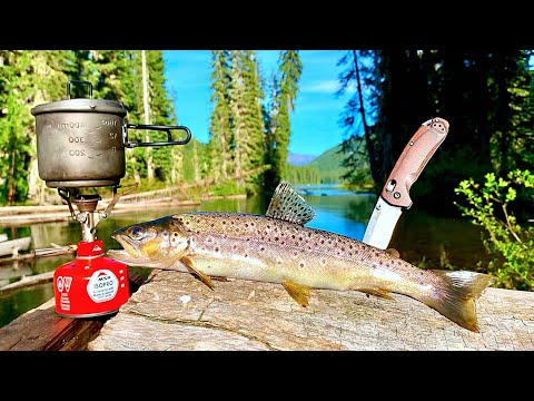 BROWN TROUT Fishing & SOLO Camping in REMOTE WILD!!! (Catch, Cook, Camp)