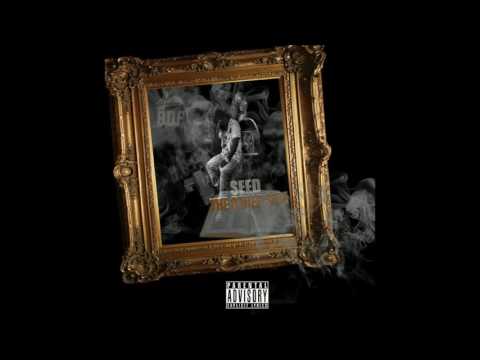 SEED X THE OTHER SIDE