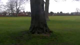 vicky shipp does guerilla warfare tactics