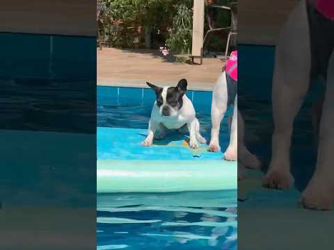 QUE VIAGEM LOUCAAAA #Pousadaleange