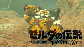 【ゼルダの伝説BotW】世界を救う旅をする #63【実況プレイ】