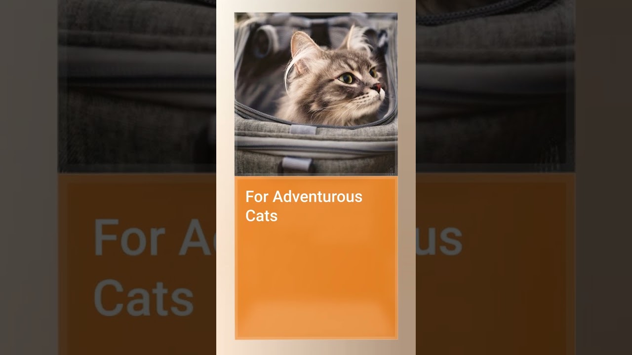 How do I correct a failed cat introduction? Tipseri