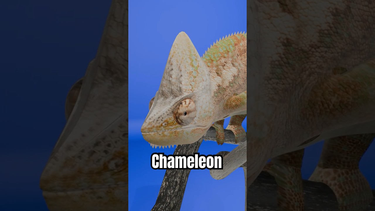 The Secret of Chameleons 😱
