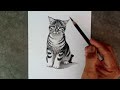 How To Draw A Cat By Pencil With Easy Ways