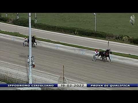 Aversa trotto 19 Febbraio 2022 - Prova di qualifica