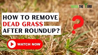 4 Easy Ways To Know How to Remove Dead Grass After Roundup