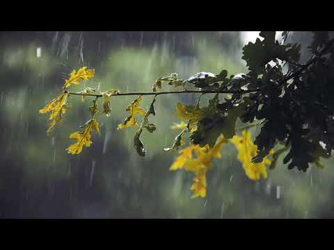 HELLA wiper blades – Clear visibility in all weathers!