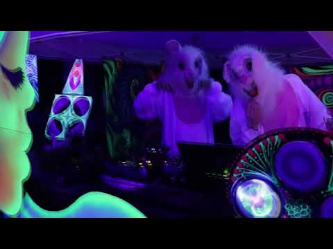 Raving with Bad Place For Bunnies in the woods👽