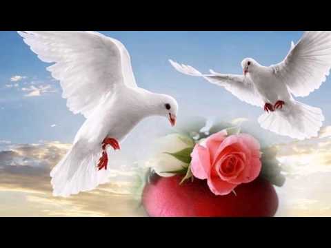 ZVONAREVIC KATARINA - DALI SI CUO DUSO