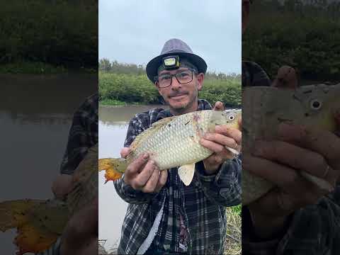 Última pescaria antes da piracema! #pescaria #carpa #arambare #acampamento #riograndedosul