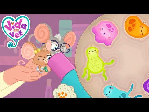 Sunny's Germy Hands + MORE! | Vida the Vet | Cartoons for Kids