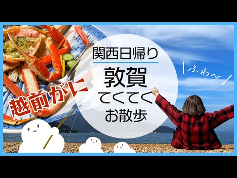 Comamos cangrejo Echizen 🦀 Excursión turística de un día desde Tsuruga/Kansai, Prefectura de Fukui / Cangrejo de las nieves / Santuario Kehi / Kehi no Matsubara / Noviembre 2022