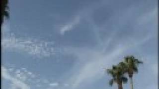 The Beastie Boys - Dr. Lee PhD