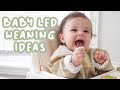 WHAT MY 8 MONTH OLD EATS IN A DAY | Baby Led Weaning and Breastfed