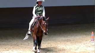 preview picture of video 'Thierhaupten 2012 Horsemanship'
