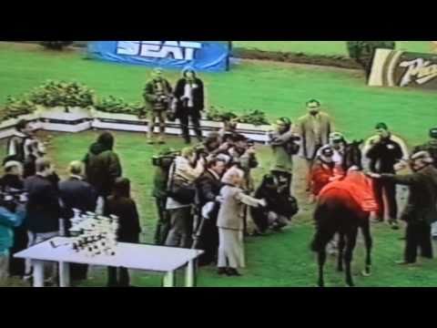 Nagroda Wielka Warszawska - 11.10.1998 - Arctic (Arctic Tern - Fiasco Argento)