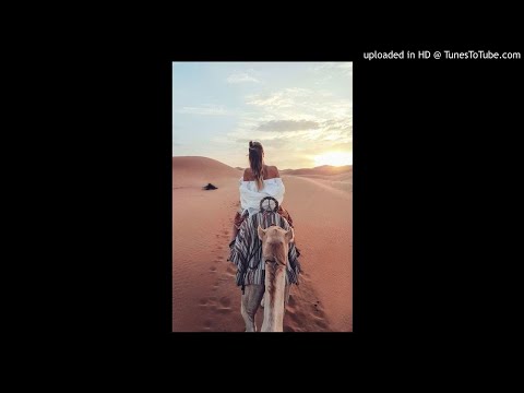 amphibious zoo _ sweet avalon ♥