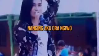 Download lagu Viral!!!Story wa dangdut koplo mp3 Download lagu Viral!!!Story wa dangdut koplo mp3