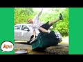 Going OUT With The TRASH Funny Fails AFV 2020