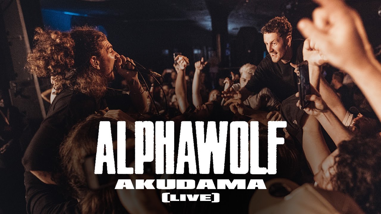 Alpha Wolf - Akudama (Live in Frankston) - YouTube