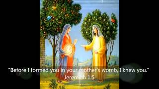 Visitation of Virgin Mary - Sanctity of Life from the Moment of Conception