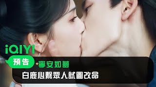 《寧安如夢》預告：白鹿心繫眾人試圖改命 與張凌赫情難自禁戀上彼此｜愛奇藝
