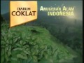 Transtv Djarum Coklat