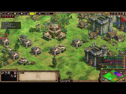 AOE2:DE Custom Game 220