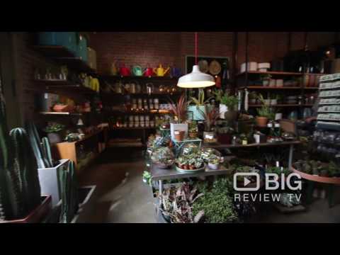 Sprout Home a Garden Store in New York offering garden Plants and Garden Supplies