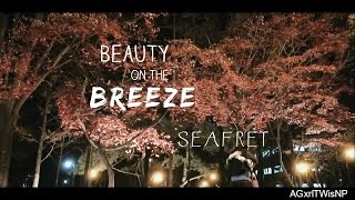 Seafret - Beauty on the Breeze [Lyrics + Sub Esp]