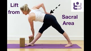Lift the Sacral Area - Intermediate Iyengar Yoga