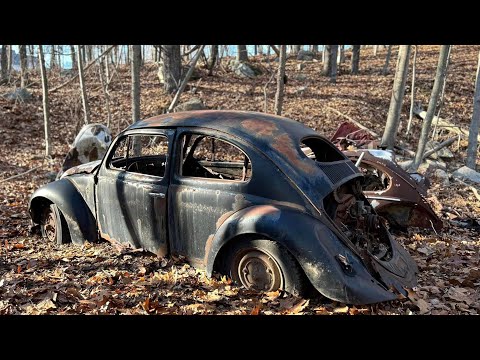 FREE Abandoned Car Found in Woods | Rare Vw Beetle Sitting for Years Rescued!