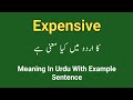 Expensive meaning in urdu/hindi || Expensive in a sentence || Expensive ka matlab kia hota ha