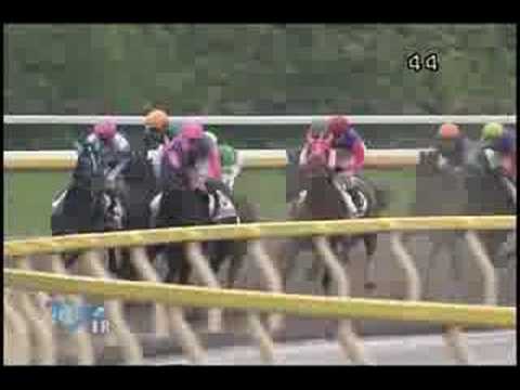 [レースリプレイ] 080608 3東京6 01R