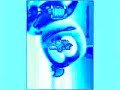 Klaskyklaskyklaskyklasky Gummy Bear In Fmaj Vocoder FOR REAL THIS TIME
