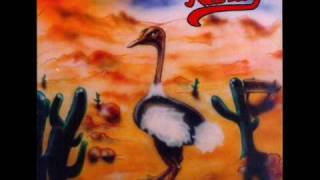 Randy - Ostrich Behaviour