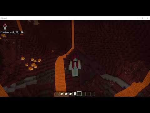 6.Tag wir finden zufällig eine Netherfestung/für Anfänger