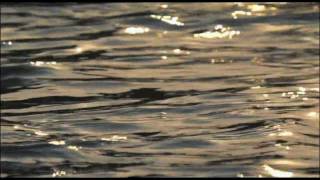 Ryuichi Sakamoto - Faraway Song