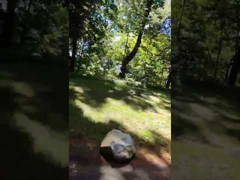 Pine Banks Park 🏞️ Melrose, Massachusetts