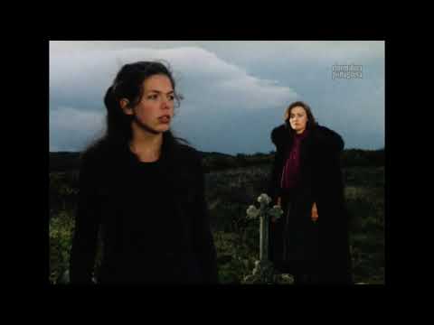 Relação Fiel e Verdadeira (1987) #1