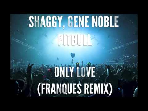 Shaggy - Only Love (Franques Remix) ft.Pitbull & Gene Noble