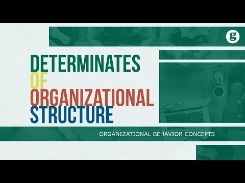 What is Organizational Behavior