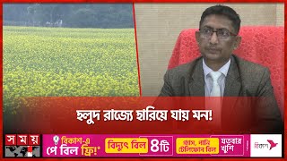সরিষার বাম্পার ফলন-২০২৪, নাসিরনগর, ব্রাহ্মণবাড়িয়া
